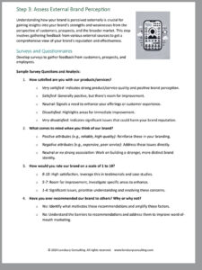 Lonsbury Consulting's Brand Audit Guide Sample Page