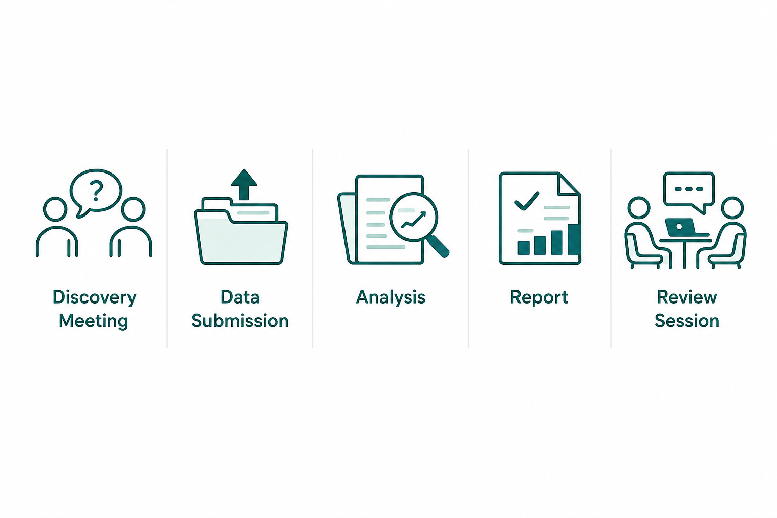Five process steps: Discovery Meeting, Data Submission, Analysis, Report, Review Session